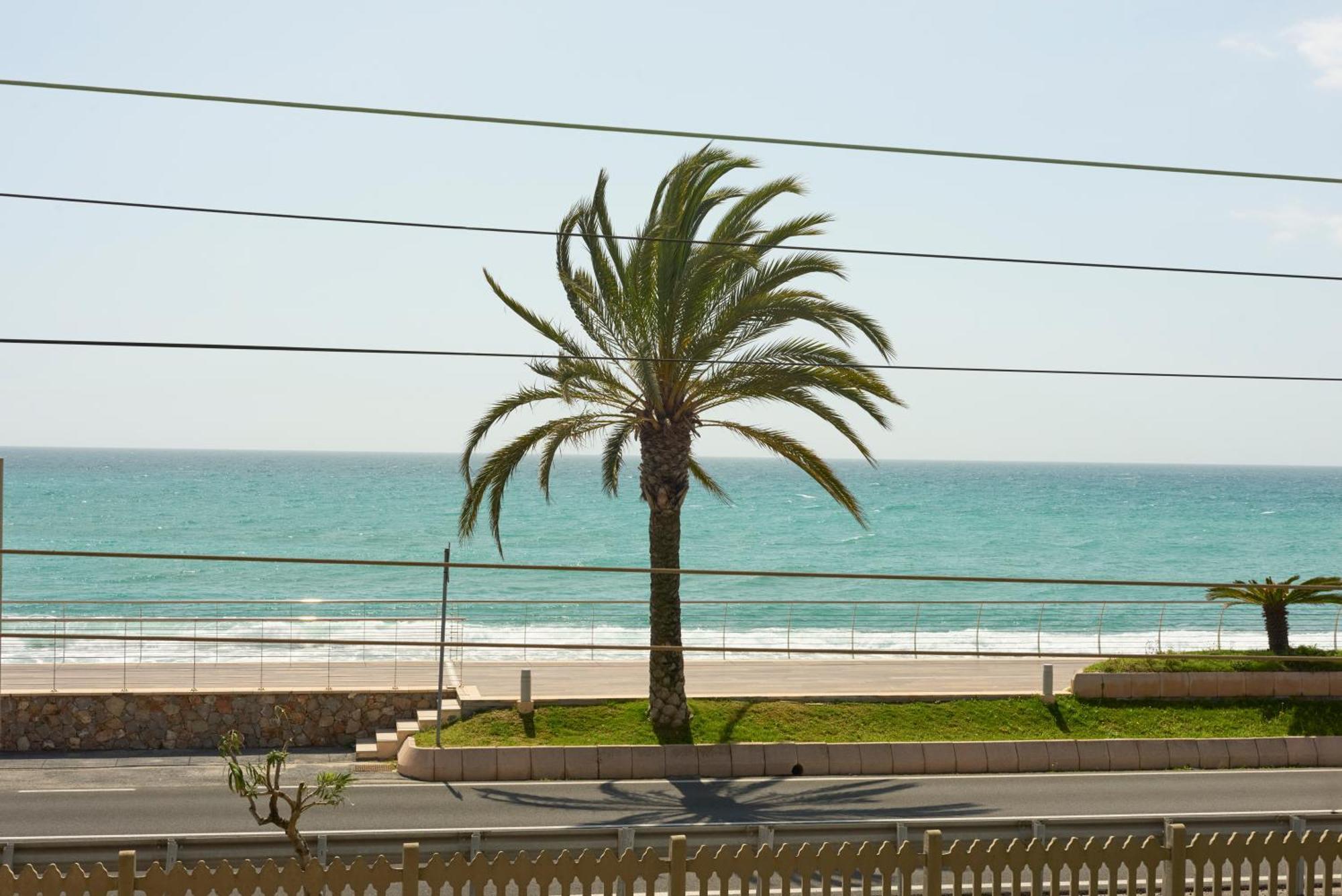 شقة Terrazza Sul Mare A بيترا ليغوري المظهر الخارجي الصورة